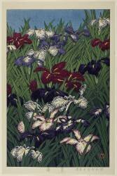 Irises, July 1929 (Hasui Kawase) - Muzeo.com
