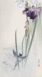 Kingfisher and Irises (Ohara Koson) - Muzeo.com