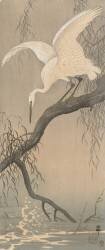 Little Egret (Ohara Koson) - Muzeo.com