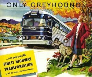 Long-distance coach Greyhound (anonymous) - Muzeo.com