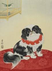 Pug Dog (Ohara Koson) - Muzeo.com