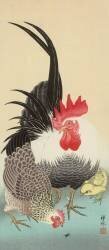 Rooster (Ohara Koson) - Muzeo.com