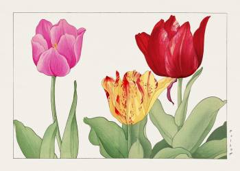 Tulips (Tanigami Kônan) - Muzeo.com