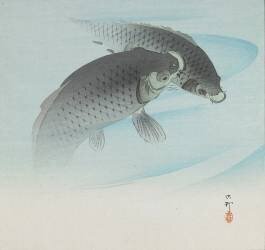 Two Carps (Ohara Koson) - Muzeo.com