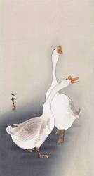 Two Geese (Ohara Koson) - Muzeo.com