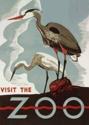 Visit the zoo (anonymous) - Muzeo.com