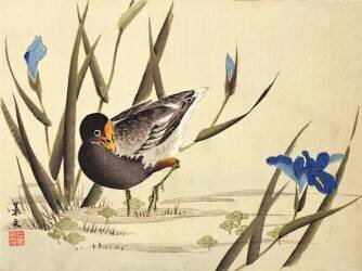 Wader amongst rushes (Ohara Koson) - Muzeo.com