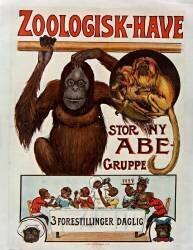 [Zoologisk Have] (anonymous) - Muzeo.com