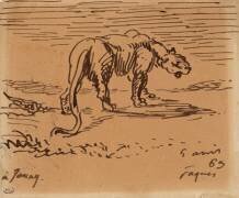 Etude de tigre (Eugène Delacroix) - Muzeo.com