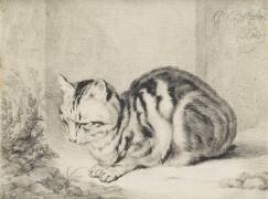 Le chat couché (anonymous) - Muzeo.com