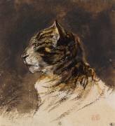 Tête de chat (Eugène Delacroix) - Muzeo.com