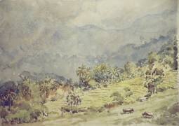 Elkaduwa (Wilson Clive) - Muzeo.com