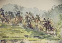 Stepped paddyfields (Wilson Clive) - Muzeo.com