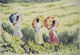 Sunshades, Ramboda (Wilson Clive) - Muzeo.com