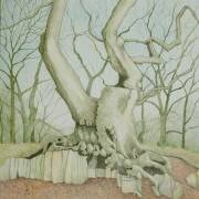 Swithland Oak (Ann Brain) - Muzeo.com