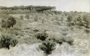 Landscape (Félix Vallotton) - Muzeo.com