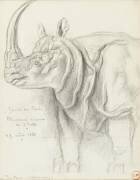 Rhinocéros (Gustave Moreau) - Muzeo.com