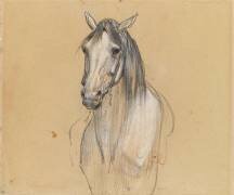 Tête de cheval (Eugène Fromentin) - Muzeo.com