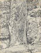 Tree (Harold Gilman) - Muzeo.com