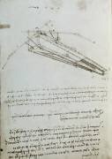 Flying machine drawing (Leonardo da Vinci) - Muzeo.com