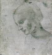 Head of a Young Woman or Head of the Virgin (Leonardo da Vinci) - Muzeo.com