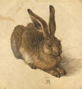 Lièvre couché (Albrecht Dürer) - Muzeo.com