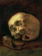 A skull (Dutch School) - Muzeo.com