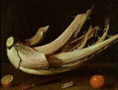 Cardoon (Spanish School) - Muzeo.com