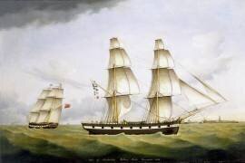 Niger of Sunderland (B. H. Hansen) - Muzeo.com