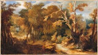 Paysage boisé (Nicolas de Largillière) - Muzeo.com