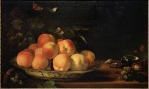 Stillleben mit Pfirsichen (Abraham van Calraet) - Muzeo.com