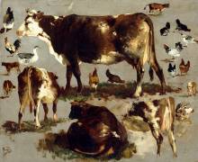 Studies of Cows (Rosa Bonheur) - Muzeo.com