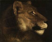 Tête de lionne (Théodore Géricault) - Muzeo.com