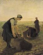 The Potato Harvest (Ernest Masson) - Muzeo.com