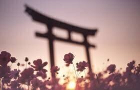 Melancholic autumn (Koji Tajima) - Muzeo.com