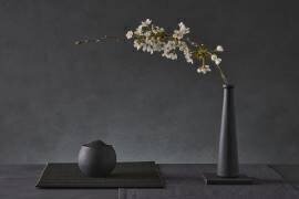 Prunus Avium (Christophe Verot) - Muzeo.com