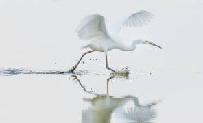 Untitled (Xiaobing Tian) - Muzeo.com