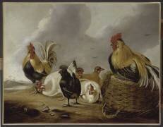 Coqs et poules (Albert Cuyp) - Muzeo.com