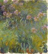 Agapanthus (Claude Monet) - Muzeo.com
