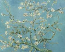 Almond Blossom (Vincent van Gogh) - Muzeo.com