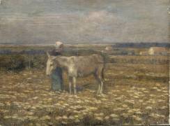 Âne au pré (Marie Duhem) - Muzeo.com