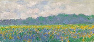 Field of Yellow Irises at Giverny (Claude Monet) - Muzeo.com