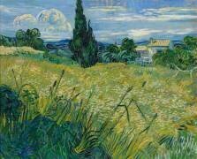 Green Wheat (Vincent van Gogh) - Muzeo.com