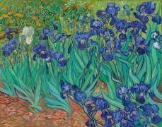 Irises (Vincent van Gogh) - Muzeo.com