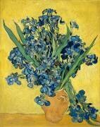 Irises (Vincent van Gogh) - Muzeo.com