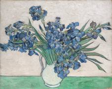 Irises (Vincent van Gogh) - Muzeo.com