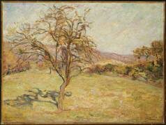 Landscape (Armand Guillaumin) - Muzeo.com