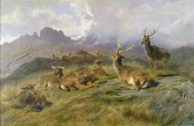 Landscape with Deer (Rosa Bonheur) - Muzeo.com
