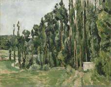 Les peupliers (Paul Cézanne) - Muzeo.com