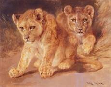 Lion Cubs (Rosa Bonheur) - Muzeo.com